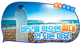 짭짤한 맛x쓴 맛 콤보! 바닷물 먹으면 안 되는 이유? [똑똑한 바다]