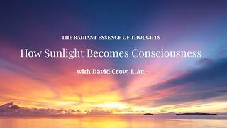 The Radiant Essence of Thoughts: How Sunlight Becomes Consciousness