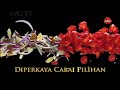 Iklan ABC Bumbu Pedas The Truth Ft Chef Bara Pattiradjawane 15s 2018