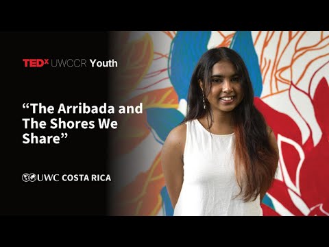The Arribada and The Shores We Share | Maitreyi Manoj Nair | TEDxUWCCR Youth