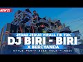 DJ BIRI BIRI SAYA DAH HILANG JARJIT VERSI PARTY VIRAL TIK TOK X BERSYANDAH