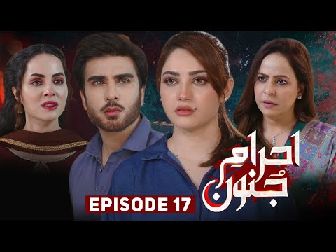 Shanzay ko Mohbt ka jawab Mohbt say na mila toh ma tumsab ko sarak py le aungi | EhraameJunoon Ep 17