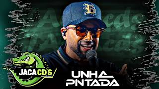 UNHA PINTADA - CD NOVO 2027 O MELHOR DO ARROCHA E DA SOFRÊNCIA | LANÇAMENTO 2027