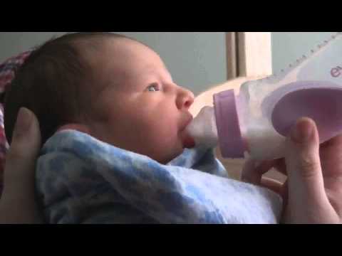 Early morning feeding