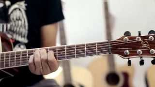 Video thumbnail for Endorser William Fróes demonstra o novo Violão Hofma HMD275 by Hammer Instrumentos e Sonorização