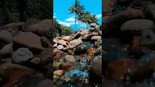 Download lagu Untuk story WA, IG suasana sungai mp3