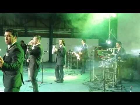 Revelación tropikal en vivo me quiero divorciar