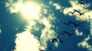 hot chelle rae - i wish