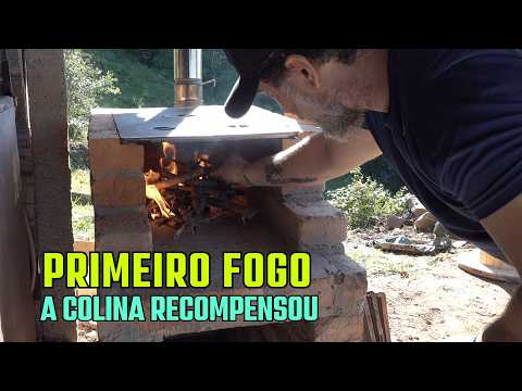 Finalizei o Fogão e Colhi Mais 15kg de Bergamotas.
