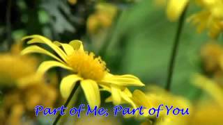 Part of Me, Part of You - England Dan and John Ford Coley