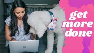 Work from home hacks for pet parents! 👉 That actually INCREASE productivity!