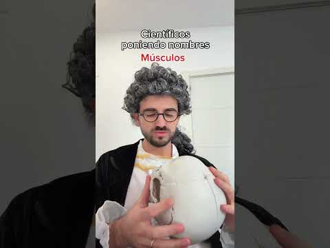 Científicos poniendo nombres: músculos 😒🥼 #ciencia #humor #anatomia #medicina #sanidad