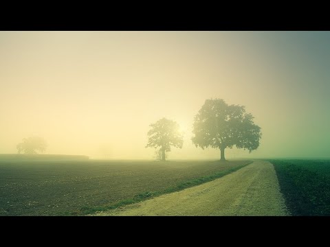 Firststrikerz Silence Of Life [Hardstyle] vídeoclip