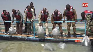 Reconversion des FDS retraitées : l'aquaculture comme  nouvelle opportunité