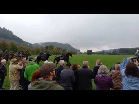 Gedenkritt 50. Jahrestag der Abschaffung der Schweizer Kavallerie