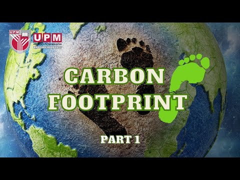 Carbon Footprint (Part 1)