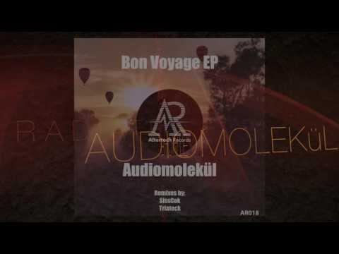 Audiomolekül feat. Beatpunx - Radiate (Original Mix)