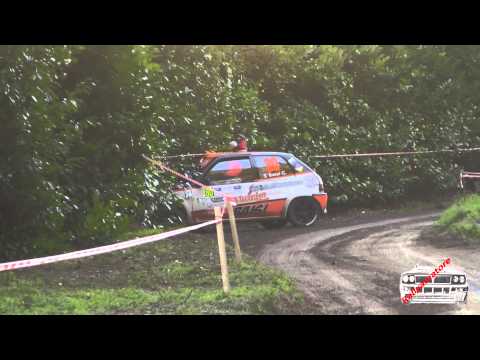 23° rally del ciocchetto 2014   Incidente n° 80 C  Baisi   C  Collodi