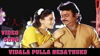 Vidala Pulla HD Song  Periya Maruthu  Vijayakanth 