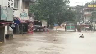 preview picture of video 'Nilambur town under water due to heavy rain'