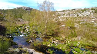 10 Minutes Relax - Peaceful River Flowing Through Forest and Rocky Mountains 🌊✨🌿
