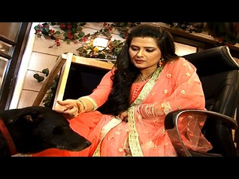 Kratika Sengar's Love For Dogs | #TellyTopUp