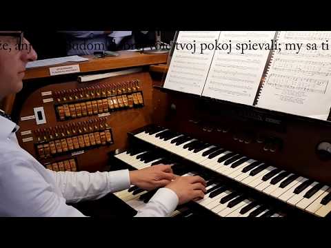 JKS 248 - Ó, trojjediný Bože