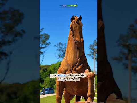 Tacuarembó es de todos - ¡A cuidar y disfrutar!  🙌