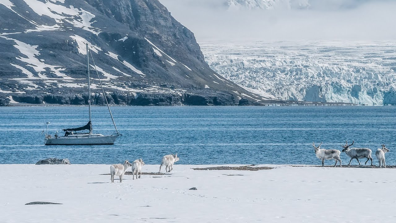 Sailing Arctic Norway - We got REINDEER, seals and a broken outboard... [ep15]
