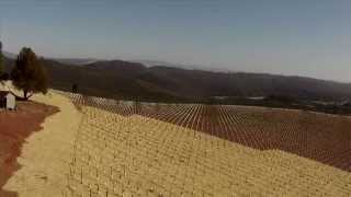 Vineyard Technology: Erosion Control