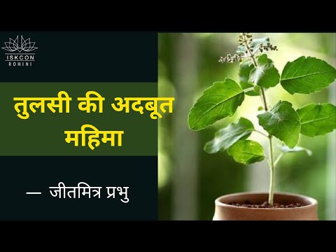 Smt. Tulsi Maharani’s Glories