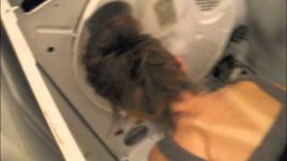 How to Change Dryer Belt on a Whirlpool Dryer