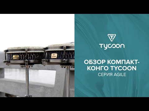 Обзор конг Tycoon серии Agile