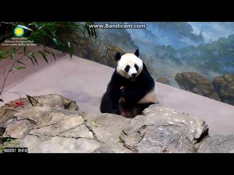 2017.06.03 MOM & DAD - TREATS FOR THEM