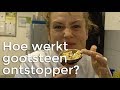 Hoe werkt gootsteenontstopper? | Vragen van kinderen | Het Klokhuis