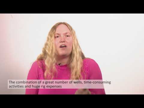 - Today all wells plugs in the same way, and it is not necessarily the most effective way. For example, not all production wells need to be plugged in the same manner. There is also much to gain economically by moving tasks from the rig to the lighter vessels, says senior scientist in SINTEF Petroleum, Malin Torsæter. (Video: SINTEF / Ingvil Snøfugl)