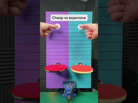 cheap vs Expensive table tennis racket #sports #racket