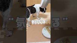 気になる
