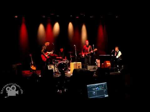 Honky Tonk Goose - Blue christmas