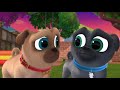 Puppy Vriendjes | Magisch Moment: Bob's Verjaardag | Disney Channel NL