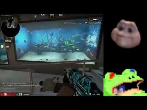 Steam Community :: Video :: Counter-Strike: GO Zoo Gameplay