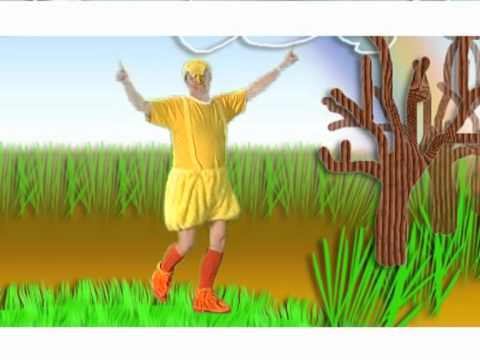 Johan Vlemmix - Vogelgriep