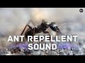 Ant Repellent Sound