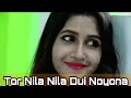Tora Nila Nila Dui Nayana Dj Remix New Odia Dj Song