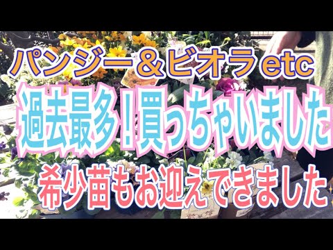 神の花 植物