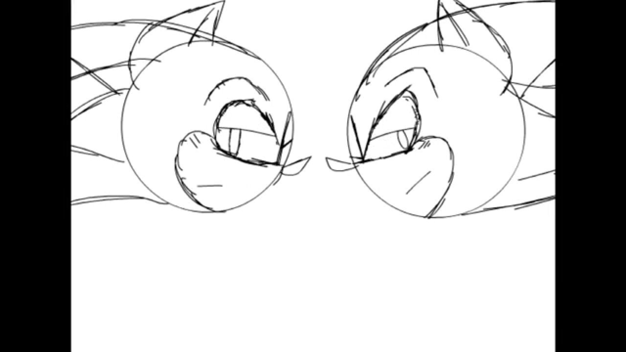 Animation Practice (Sonadow)