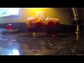Juicy J - If I Ain't (UnOfficial Video)