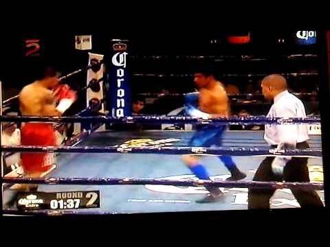 Martin islas estrada box