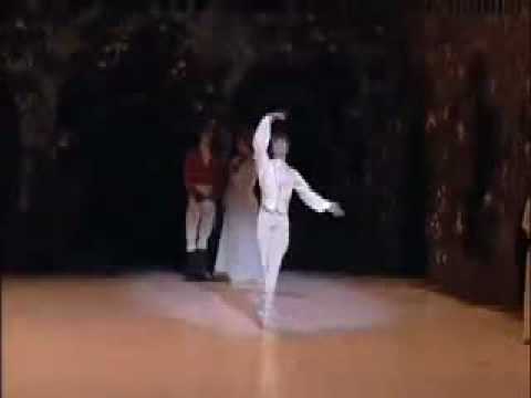 Friedemann Vogel Sleeping Beauty