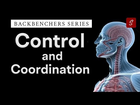 Control and Coordination | Class 10 full Chapter | Class 10 Science Chapter in Animation